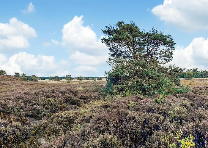 Hébergement de vacances 2 Bedroom Gorgeous In *